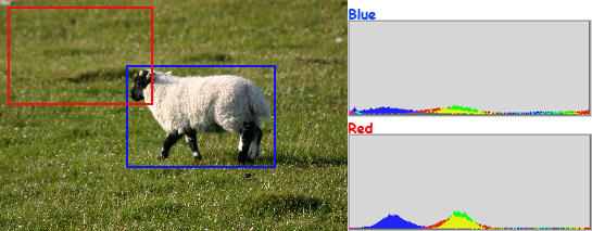sheephistogramy.png